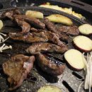 진갈비 이미지