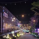 충남 보령 숲속애빛의정원 방문 후기