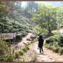 그리움-고진숙 시,조두남 곡-테너 박세원﻿ 이미지