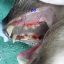 장유동물병원 이미지