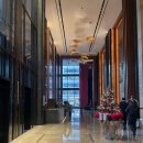 ZEST GYM | 콘래드 서울 호텔 | 프리미엄 시티뷰 제스트 조식 + 피트니스 PULSE8 호캉스 완벽 정리