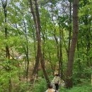 정관피올라유치원 이미지