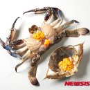 108.롯데마트_8 이미지