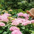 게으르게 이미지