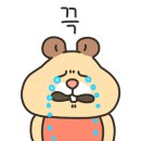 등촌칼국수 상도점 이미지