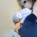 차리제 이미지