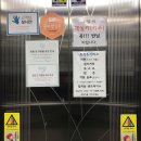 리버무인텔 이미지