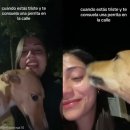 도그천사 이미지