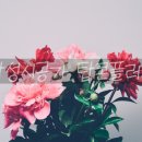 감청수신경외과의원 이미지