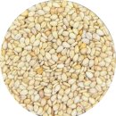 남원주건강생활지원센터 건강체험관 | 농촌여성농작업환경개선노력 / 2026농작업안전관리자선발완료 / 정월대보름, 우리곡물로 건강하게·맛있게