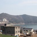 남해복어 이미지