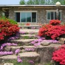 깊은내 팬션 이미지