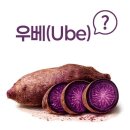본연가