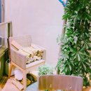 로코떡볶이 이미지