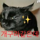 떼굴떼굴 이미지