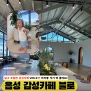 볼로(VOLO) | 음성 감성카페 추천｜넓고 조용한 VOLO 내돈내산 방문 후기