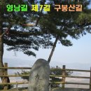 황새울길 이미지