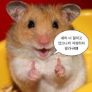 동양유도클럽 | 숭실대학교 25-2학기LEP(Language Exchange Program) 활동 후기🌐 (+우수 활동 보고서 선정)👩‍💼