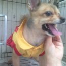 인수당약국 이미지