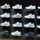 파이리코 | 11월 일상-1 : 스탠바이미를 향한 욕망의 챌린지