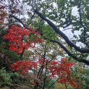 설악산 울산바위 공룡능선 주전계곡 이미지