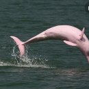 (주)아마존 이미지