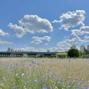 도농체육공원 이미지