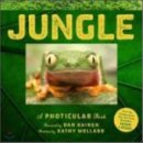 정글(Jungle)