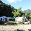 용문산관광지(야영장) 이미지