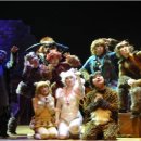 어린이 캣츠 이미지