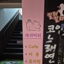 아,귀여워 | 회기역 애견카페 경희대 강아지 미용, 유치원, 호텔 개귀여워 솔직후기
