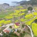 청산도의미래 이미지