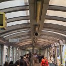 칼라힐 빌딩 교통섬 | 홍콩 2박3일 자유여행 일정 경비 일일투어 섬 관광지 코스 추천 후기