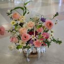 루벤스플라워