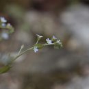 독립농장 이미지