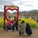 맹방관광지 이미지