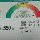 양지수선 이미지