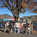 장동초등학교 병설유치원 이미지