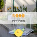 카네이션 케이크｜어버이날 선물로 좋은 홍대 생화케이크 주문 후기