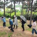 감꽃향기 | [월간어울숲] 5월 후기 🌿