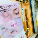 진스네일 이미지