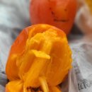 풍천대봉감농원 이미지