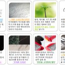 (주)퍼니펫 이미지