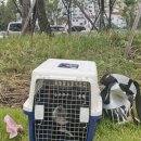 산솔면-10(대기교 앞) | 🌕25년 연휴기록🌕