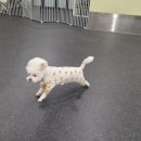 옥이누나 | 26년을 시작하며 3월에 쓰는 일상 블로그