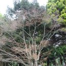 무궁화금호(아)경로당 | 제주 한림공원