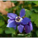 국사봉 전망대 이미지