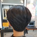더디토헤어 이미지