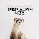 내셔널지오그래픽