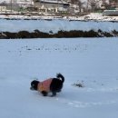 데굴데굴 이미지